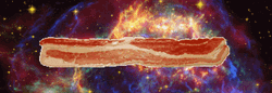 I Love Fantastic Bacon GIF