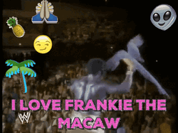 I Love Frankie The Macaw GIF