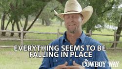 I Love It When A Plan Comes Together Cowboy Way GIF