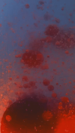 I Love Lamp GIF