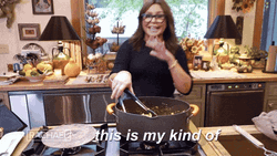 I Love This Kind Of Hot Mess Rachael Ray GIF