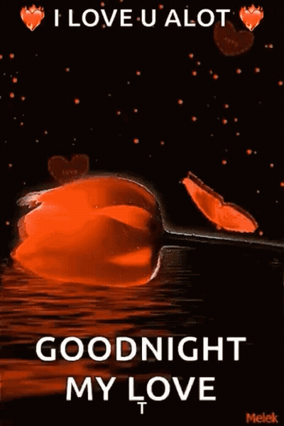 I Love U Alot Goodnight My Love Hearts And Flowers GIF