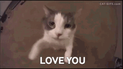I Love U GIF