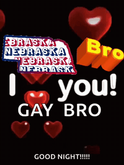 I Love You Gay Bro Sign GIF