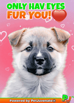 I Love You Love U GIF