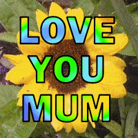 I Love You Mom Beautiful Sunflower GIF