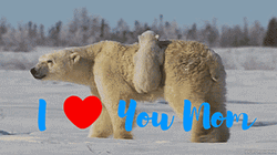 I Love You Mom Clingy Polar Bear GIF