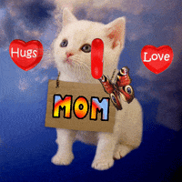 I Love You Mom Hugs Love Cute Kitten Cat GIF