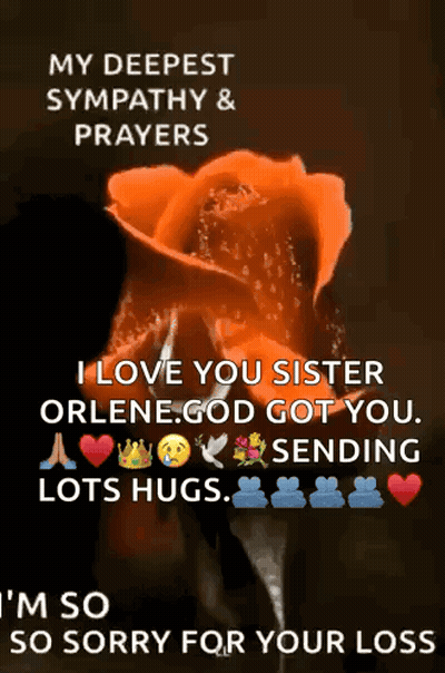 I Love You Sister Orlene God Got You Sending Lots Hugs Im So So Sorry For Your Loss GIF