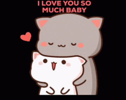I Love You So Much Cuddling Peach And Goma GIF