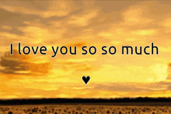 I Love You So Much Golden Sky GIF