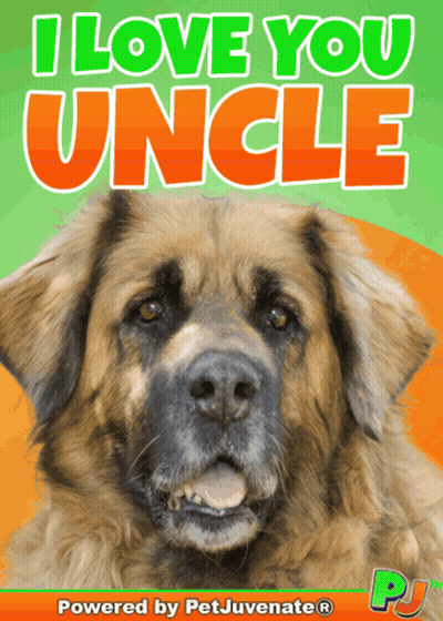 I Love You Uncle Dog Poster GIF