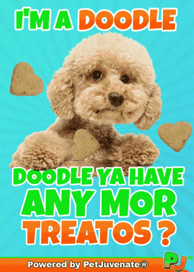 I'm A Doodle Doodle Ya Have Any More Treatos Poster GIF