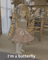 I'm A Flying Butterfly Costume GIF