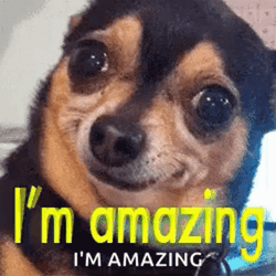 I'm Amazing Big Dawg GIF