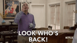 I'm Back Sassy Gay In Violet Top  GIF