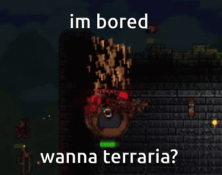 I'm Bored Wanna Terraria GIF