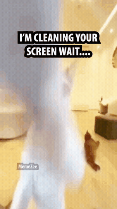 I'm Cleaning Your Screen Wait Meme GIF