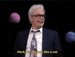 I'm Curious Like A Cat GIF