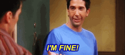 I'm Fine David Schwimmer GIF