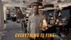 I'm Fine Everything's Fine GIF