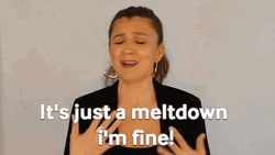 I'm Fine It's Just A Meltdown GIF