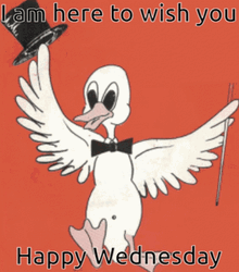 I'm Here To Hilarious Wednesday GIF