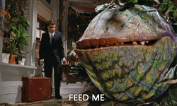 I'm Hungry Feed Me Seymour  GIF
