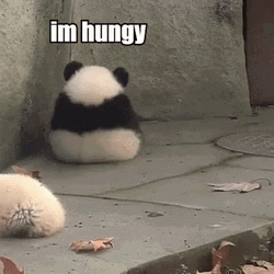 I'm Hungry Lonely Panda GIF