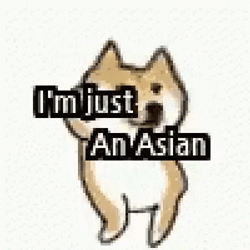 I'm Just An Asian Stereotype GIF