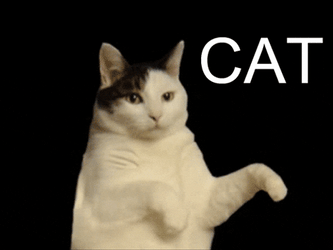I'm Kitty Cat Breakdancing GIF