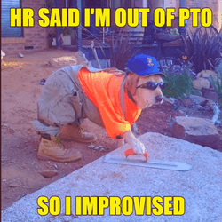 I'm Out Of Pto So Improvised GIF