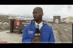 I'm Out Tv Reporter Executed GIF