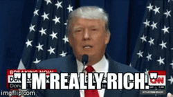 I'm Really Rich Donald Trump GIF