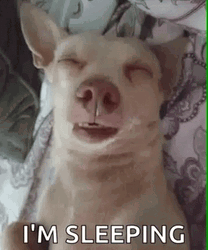 I'm Sleeping Dog Funny Meme