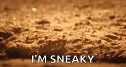 I'm Sneaky Meerkat Pop GIF