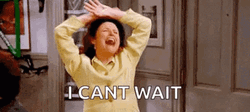I'm So Excited Elaine Benes Seinfeld GIF