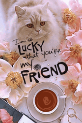 I'm So Lucky Thank You Friend GIF