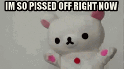 I'm So Pissed Off Right Now White Bear GIF