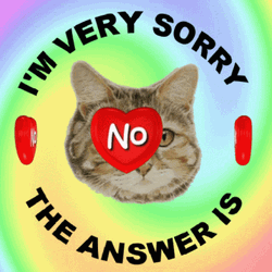 I'm Sorry No Way Cat GIF