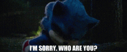 I'm Sorry Who Are You Sonic Movie GIF
