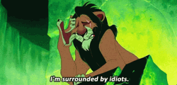 I'm Surrounded By Idiots Lion King Meme GIF