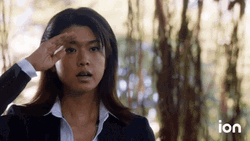 I'm The Captain Now Hawaii Five-0 GIF