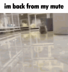 I'm Thinking I'm Back From My Mute GIF