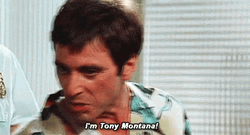 I'm Tony Montana GIF