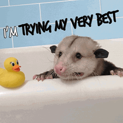 I'm Trying My Best But I Can't GIF
