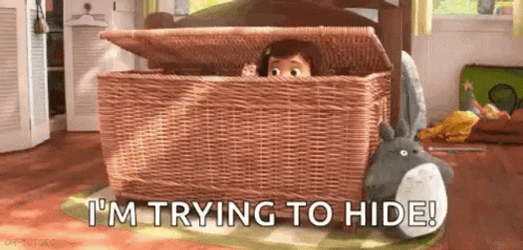 I'm Trying To Hide Animation GIF