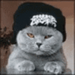 I'm Waiting Patiently Cool Cat GIF