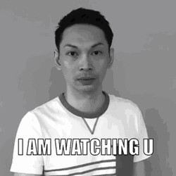 I'm Watching You Just When I Thought I Was Out GIF