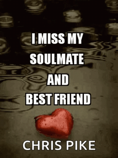 I Miss My Soulmate And Best Friend Book Cover By Chris Pike GIF